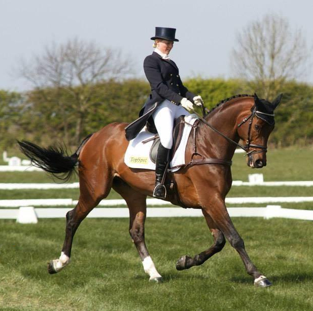Gallery | competition stud, training yard and stud livery in Lincolnshire and UK gallery image 18