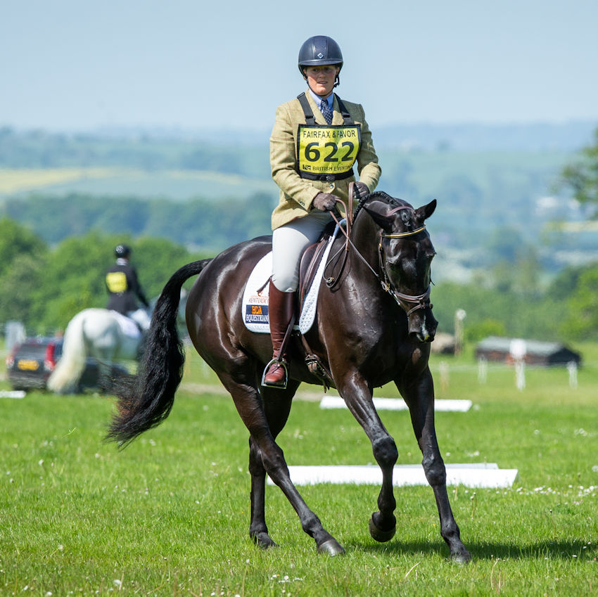 Gallery | competition stud, training yard and stud livery in Lincolnshire and UK gallery image 6