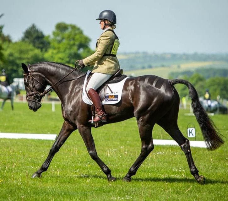 Gallery | competition stud, training yard and stud livery in Lincolnshire and UK gallery image 8